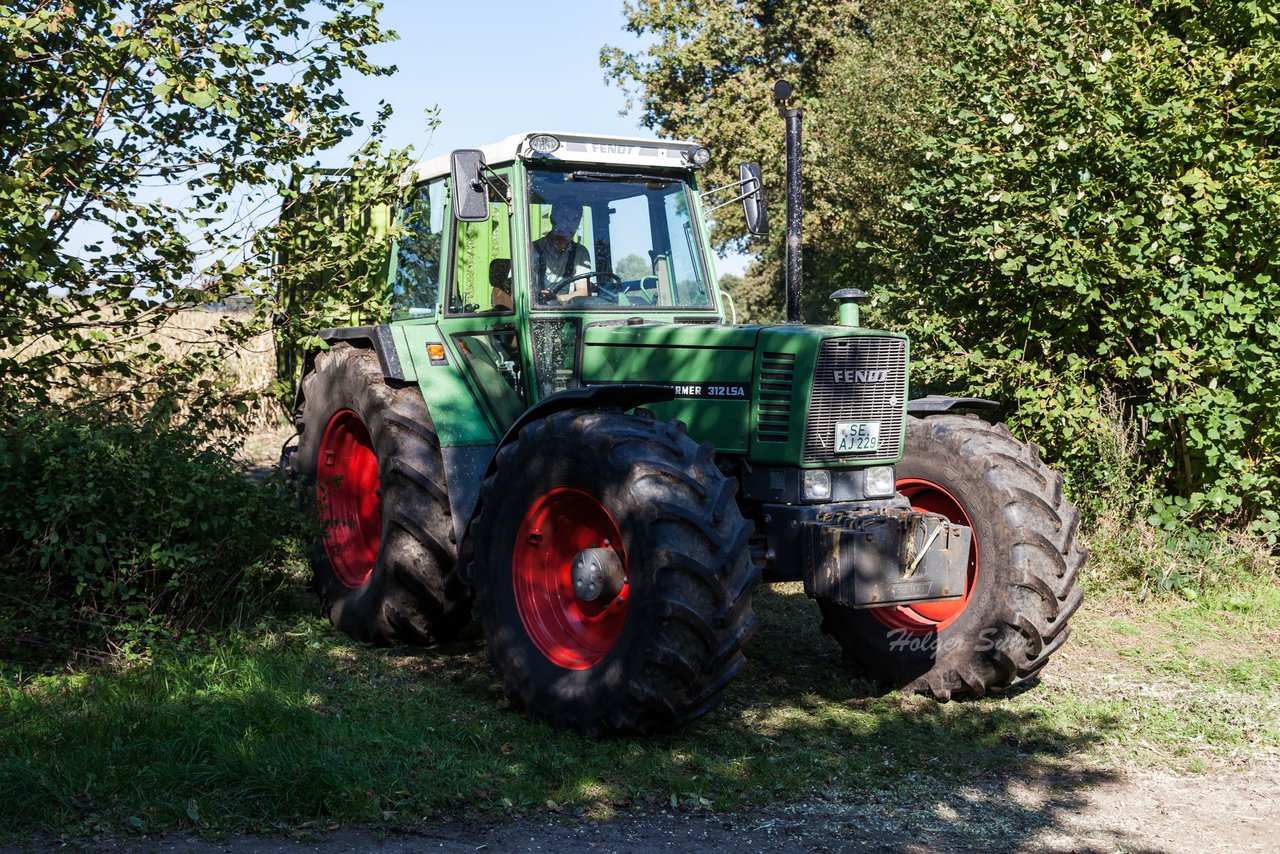 Bild 41 - Maisernte